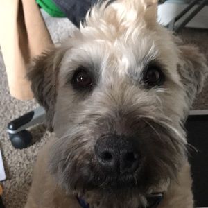 Meet your Posher, Christopher